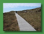 Connemara (264)